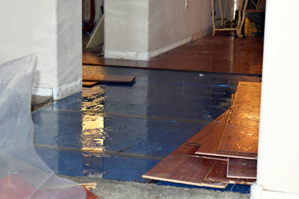 Professional Burst Pipe Cleanup technician working in Alpine, CA